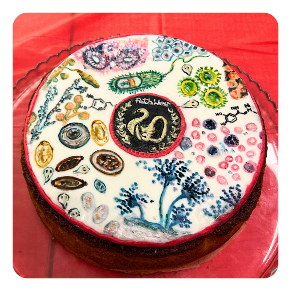 13 Illustrated pathology